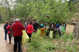 patrimoni patrimonio participació participación percepció percepción social gestalgar xestalgar tono vizcaíno estevan