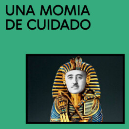 piedra arqueologia arqueología cultura de masses cultura de masas pop tono vizcaíno estevan
