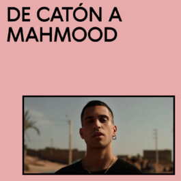 piedra arqueologia arqueología cultura de masses cultura de masas pop tono vizcaíno estevan