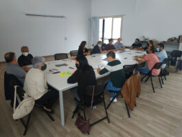 beniopa gandia patrimoni patrimonio percepció social percepción social participació participación tono vizcaíno estevan