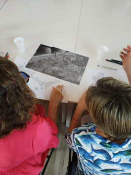 beniopa gandia patrimoni patrimonio percepció social percepción social participació participación tono vizcaíno estevan