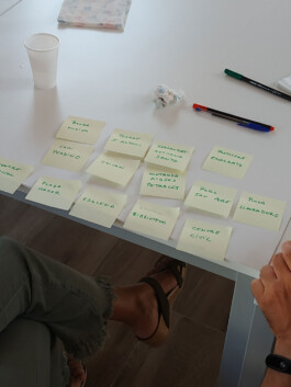 beniopa gandia patrimoni patrimonio percepció social percepción social participació participación tono vizcaíno estevan