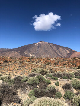cultural routes council europe rutas culturales rutes culturals trashumancia transhumància transhumance tt&rr avaluació evaluación evaluation patrimoni patrimonio heritage tenerife canarias canary island tono vizcaíno estevan