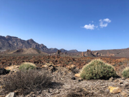 cultural routes council europe rutas culturales rutes culturals trashumancia transhumància transhumance tt&rr avaluació evaluación evaluation patrimoni patrimonio heritage tenerife canarias canary island tono vizcaíno estevan