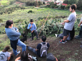 cultural routes council europe rutas culturales rutes culturals trashumancia transhumància transhumance tt&rr avaluació evaluación evaluation patrimoni patrimonio heritage tenerife canarias canary island tono vizcaíno estevan