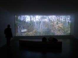 cultural routes council europe rutas culturales rutes culturals art rupestre arte prehistoric art avaluació evaluación evaluation patrimoni patrimonio heritage prat carp dordogne france tono vizcaíno estevan