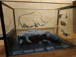 cultural routes council europe rutas culturales rutes culturals art rupestre arte prehistoric art avaluació evaluación evaluation patrimoni patrimonio heritage prat carp dordogne france tono vizcaíno estevan