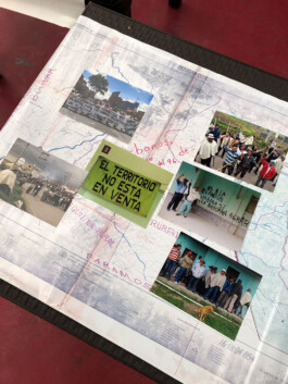 Comité Asesor Internacional CAI Bogotá Colombia patrimonio patrimoni arqueología arqueologia antropología antropologia América Latina Tono Vizcaíno Estevan