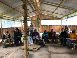 Comité Asesor Internacional CAI Bogotá Colombia patrimonio patrimoni arqueología arqueologia antropología antropologia América Latina Tono Vizcaíno Estevan