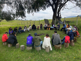Comité Asesor Internacional CAI Bogotá Colombia patrimonio patrimoni arqueología arqueologia antropología antropologia América Latina Tono Vizcaíno Estevan 