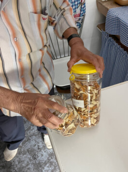 botánica común etnobotánica ricote murcia casa engarces carasso etnografía