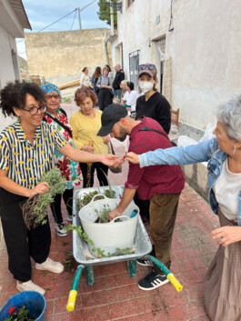 botánica común etnobotánica ricote murcia casa engarces carasso etnografía